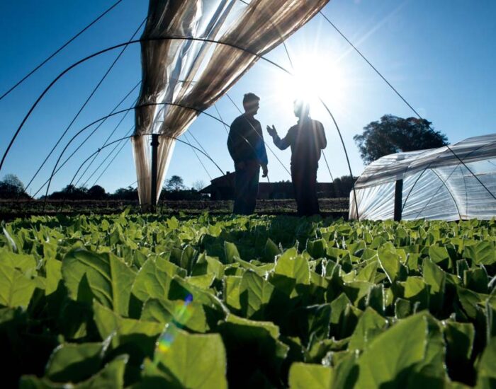 Compromiso de sustentabilidad