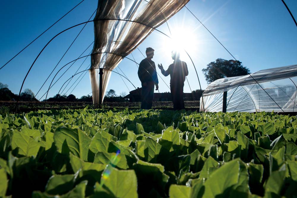 Compromiso de sustentabilidad