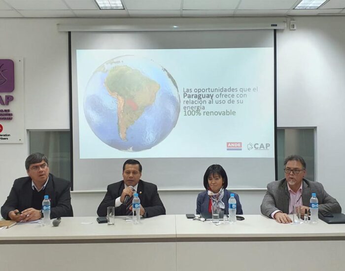 Reunión de la Comisión Directiva de la CAP con presidencia de la ANDE