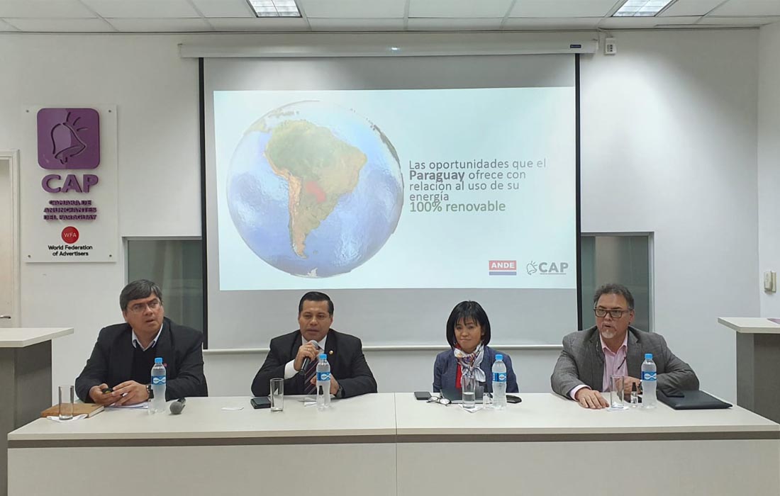 Reunión de la Comisión Directiva de la CAP con presidencia de la ANDE