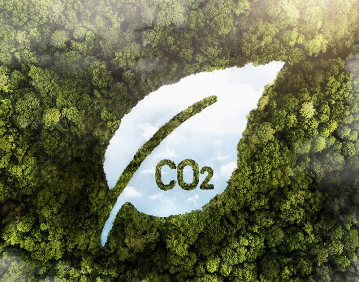 Dan luz verde a ley del carbono