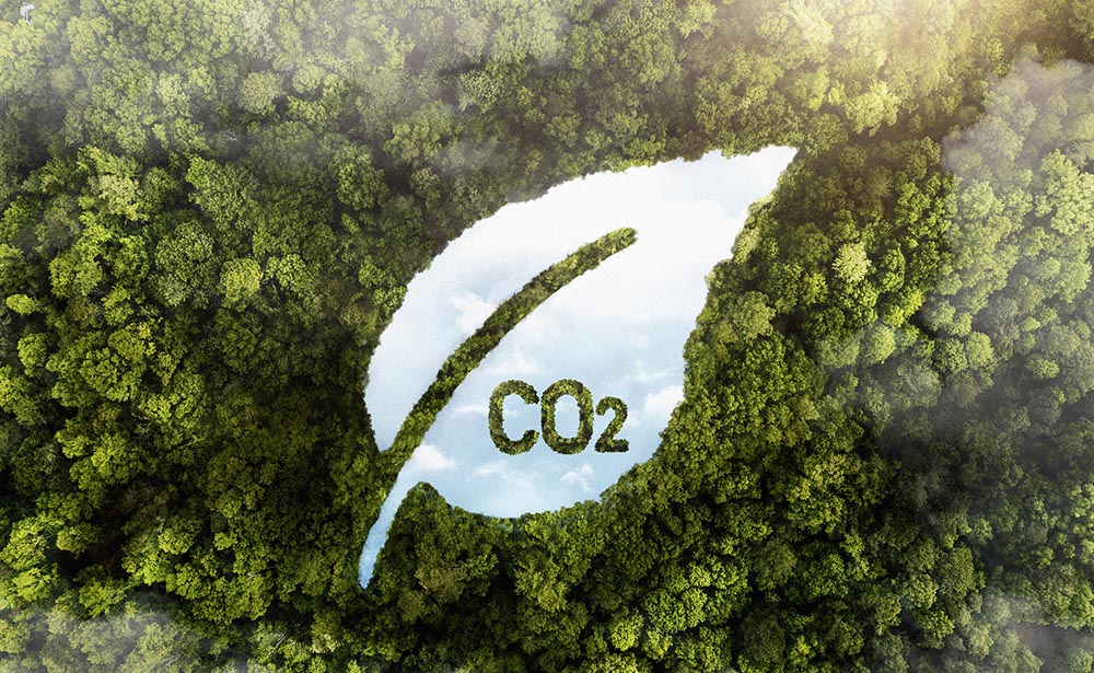 Dan luz verde a ley del carbono